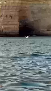 a video of the algarve in portugal