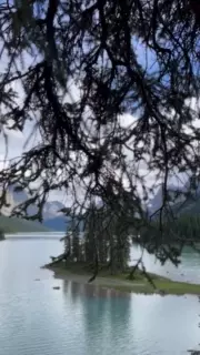 a video of jasper national park in canada